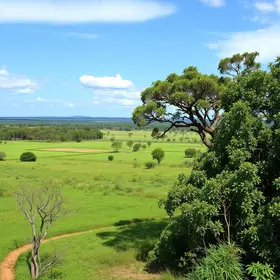 Cerrado em Pé