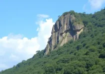 Concurso de Minas