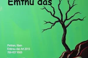 Detran Embu das Artes