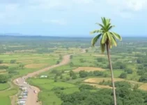 concurso Dores do Indaiá