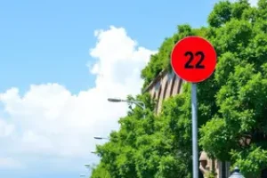 Zip Code 5 Dígitos