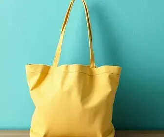 Bolsa Família e BPC