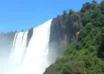 Detran Foz do Iguaçu