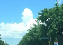 DETRAN RJ Unidades