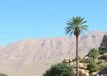 vagas abertas em Mesquita 2025
