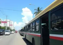 transporte coletivo grátis