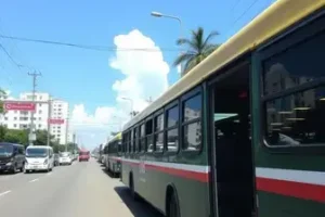 transporte coletivo grátis