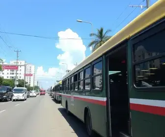 transporte coletivo grátis